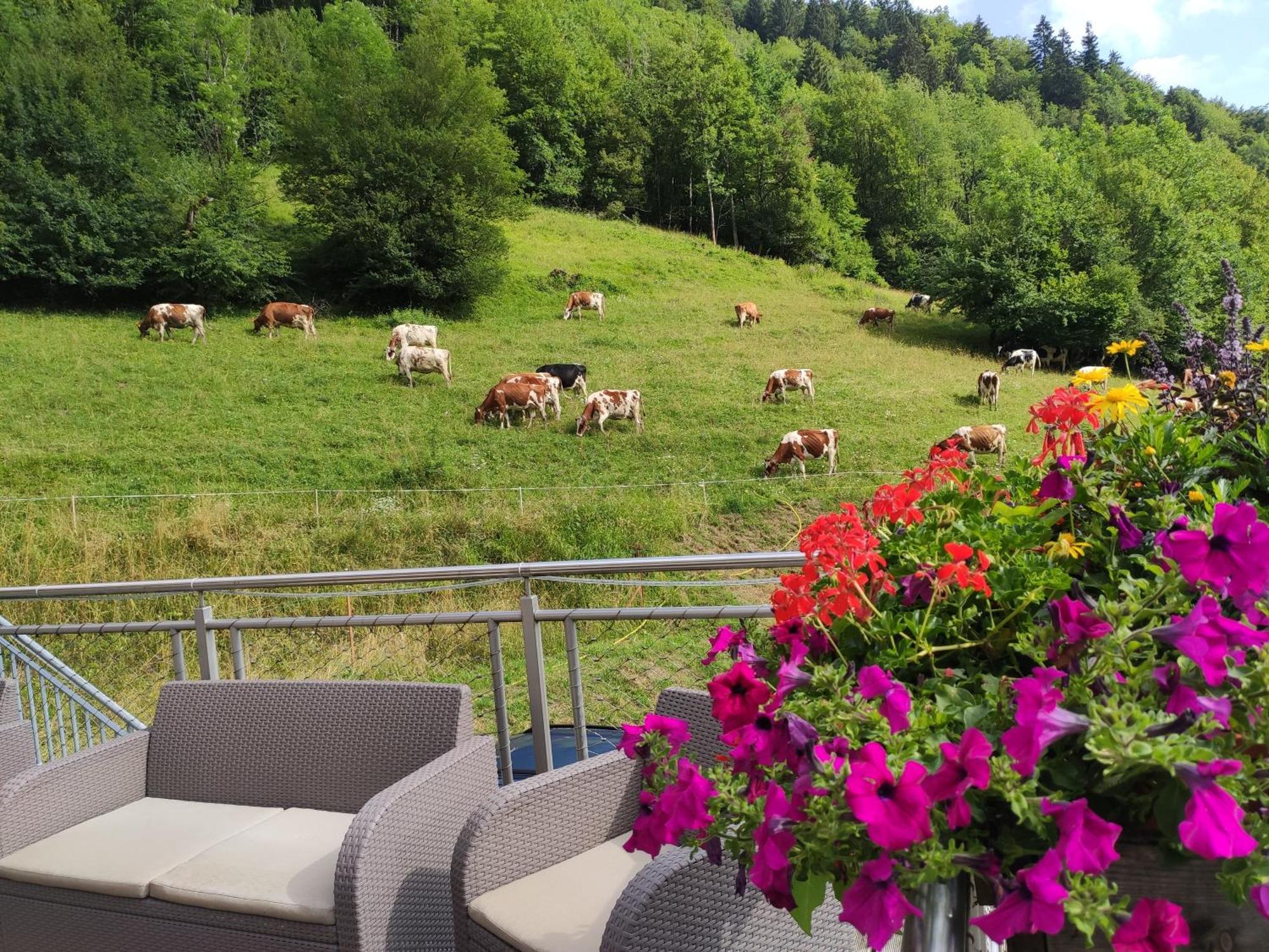 Les Chemins Du Leman Otel Novel Dış mekan fotoğraf