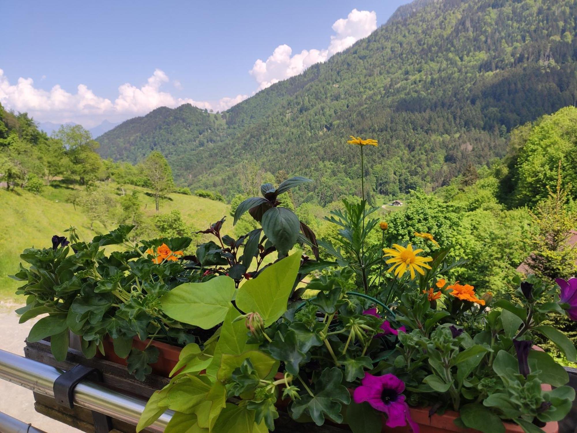 Les Chemins Du Leman Otel Novel Dış mekan fotoğraf